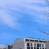 Photo de France - Marseille - les docks